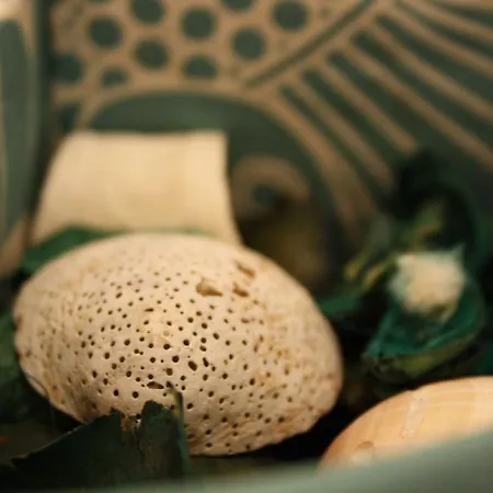 Bed & Breakfast Blue 3*