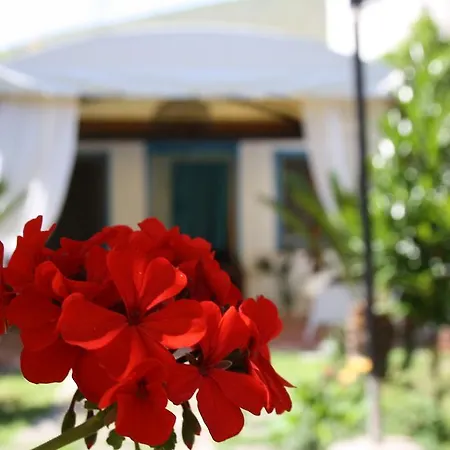 Bed & Breakfast Blue