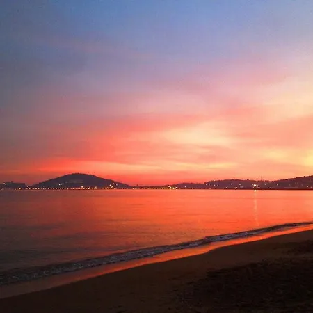 Blue Formia