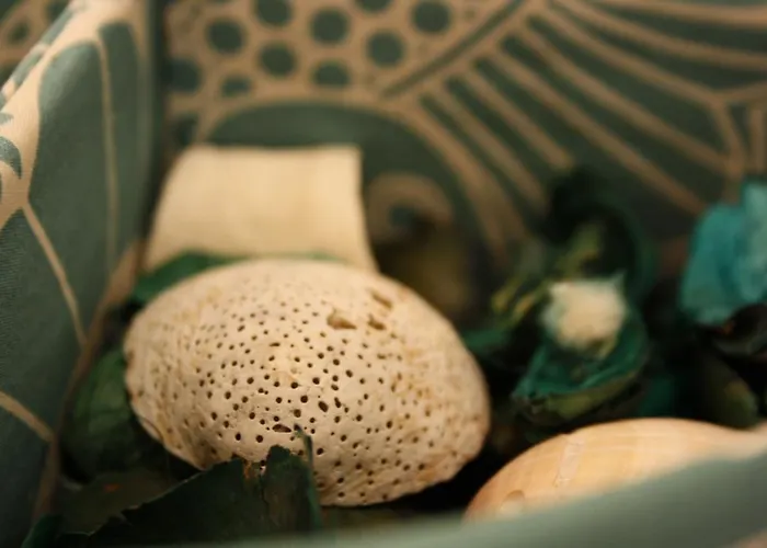 Bed and Breakfast Blue 3*