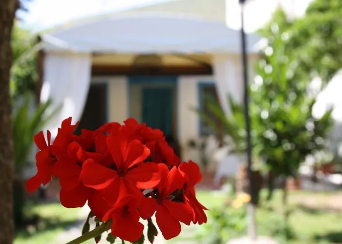 Bed and Breakfast Blue